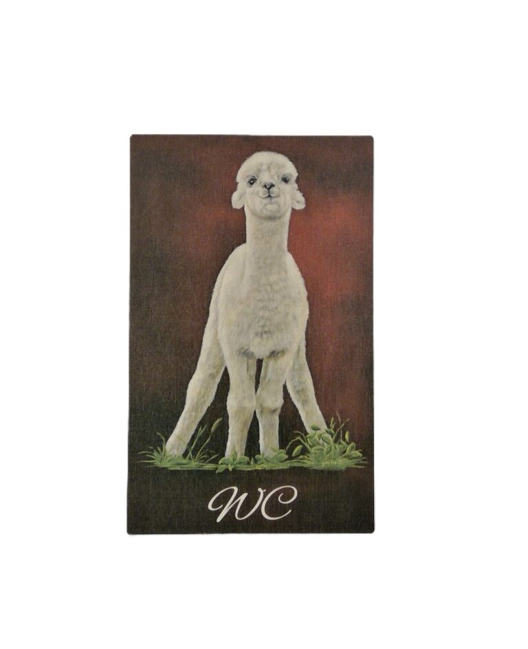 WIN_20230802_11_11_29_Pro