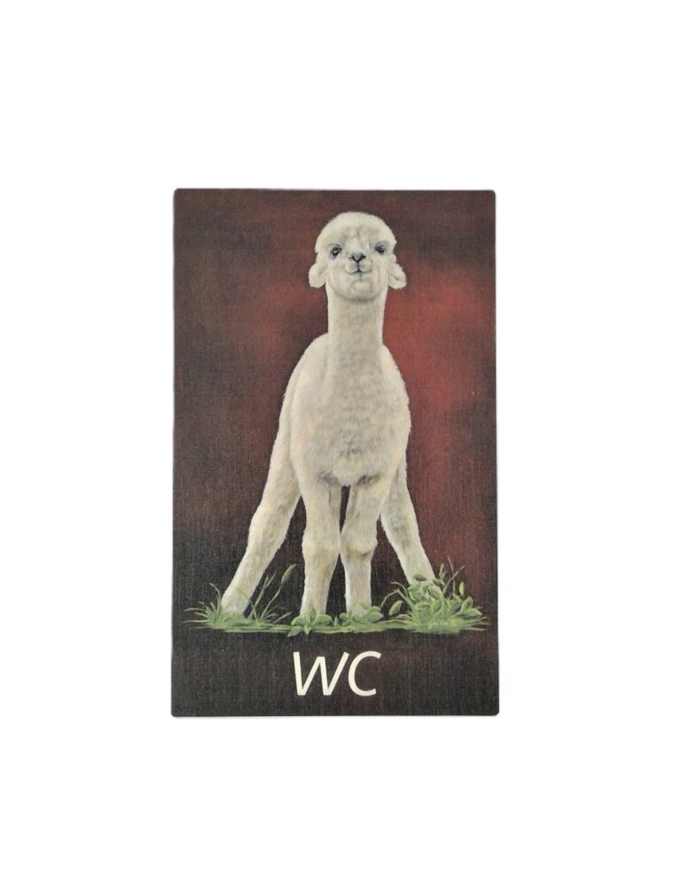 WIN_20230802_11_59_03_Pro